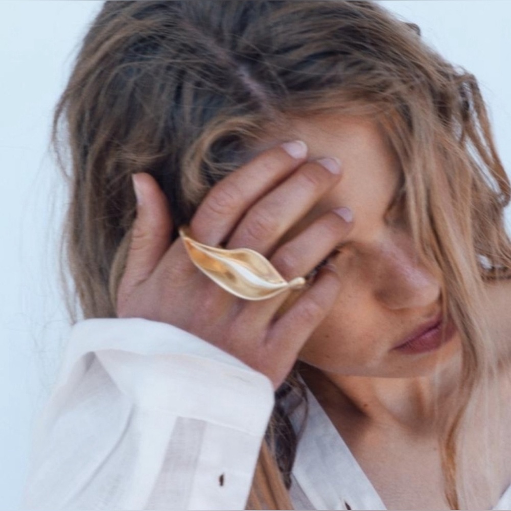 NWT Zara Double Finger Ring